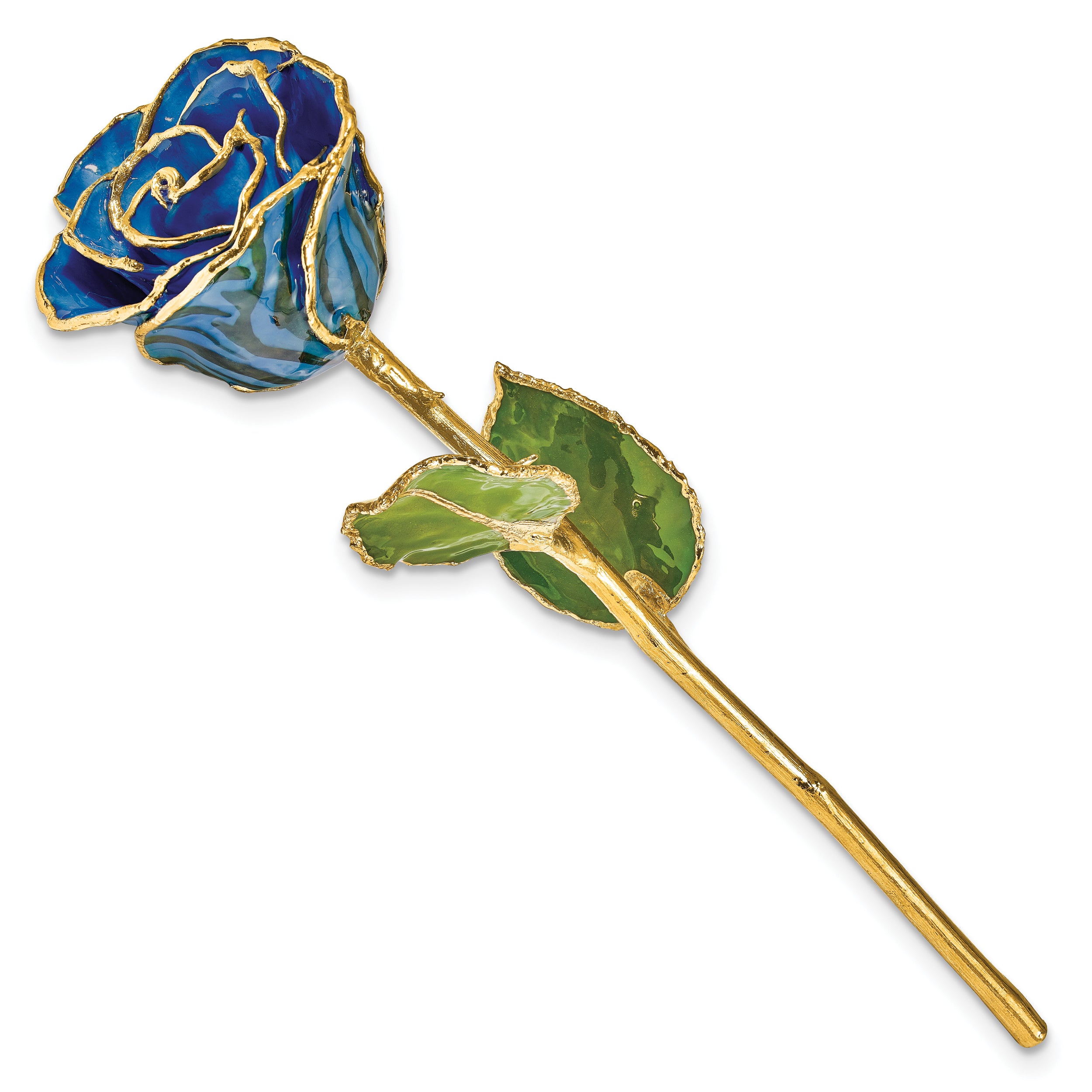 Lacquer Dipped Gold Trim Black and Blue Zebra Rose