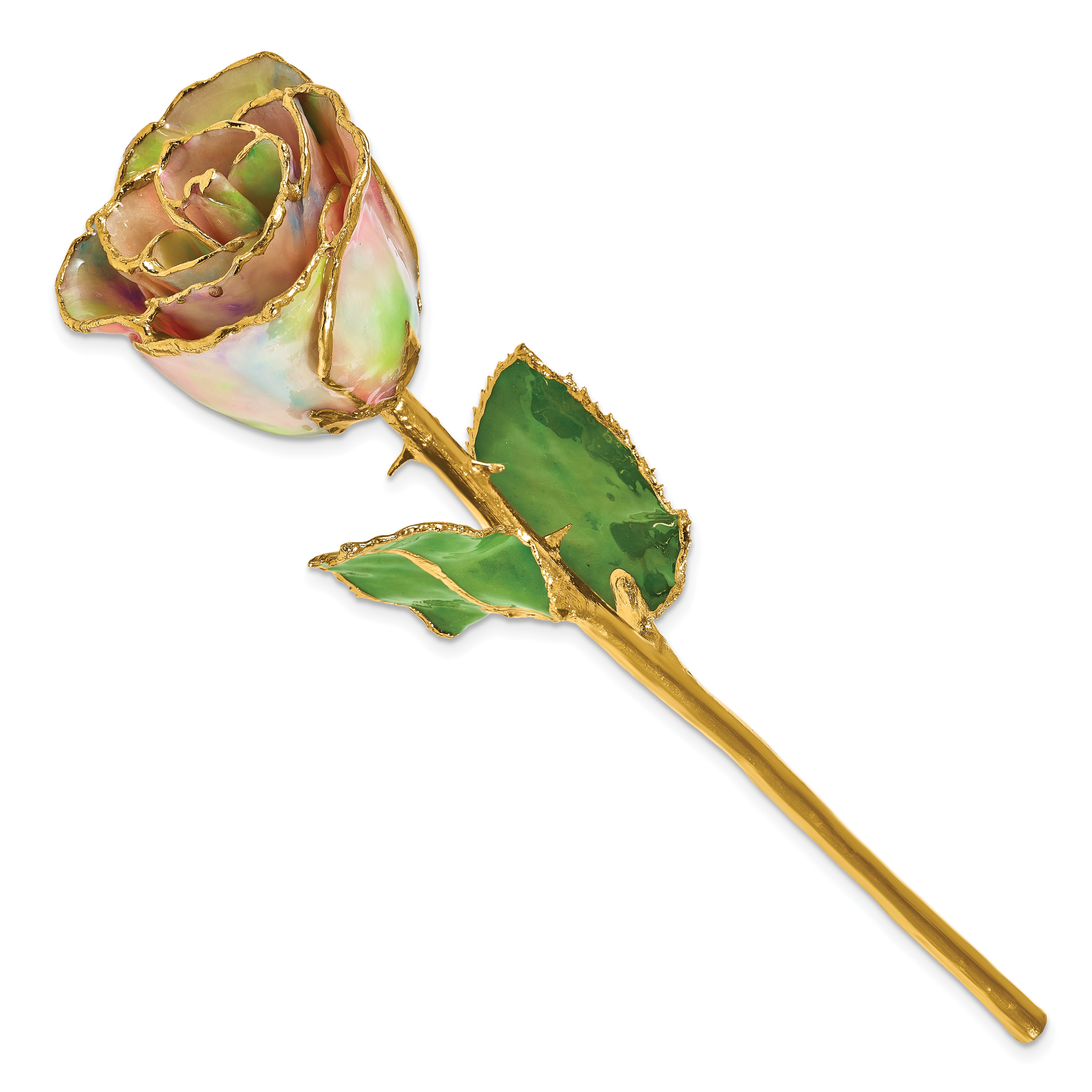 Lacquer Dipped Gold Trim Galaxy Iridescent Rose