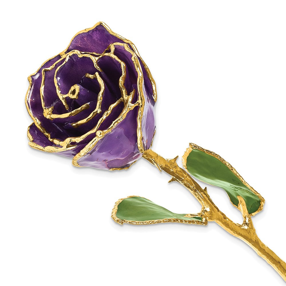 Lacquer Dipped Gold Trim February Birthstone Amethyst Rose