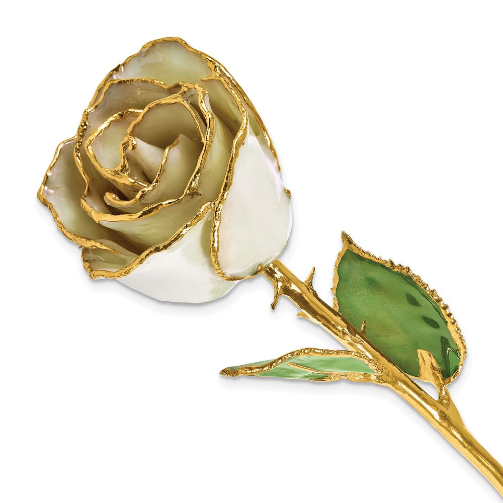Lacquer Dipped Gold Trim June Birthstone Opal Pearl Rose