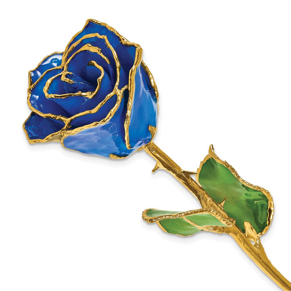 Lacquer Dipped Gold Trim September Birthstone Sapphire Rose