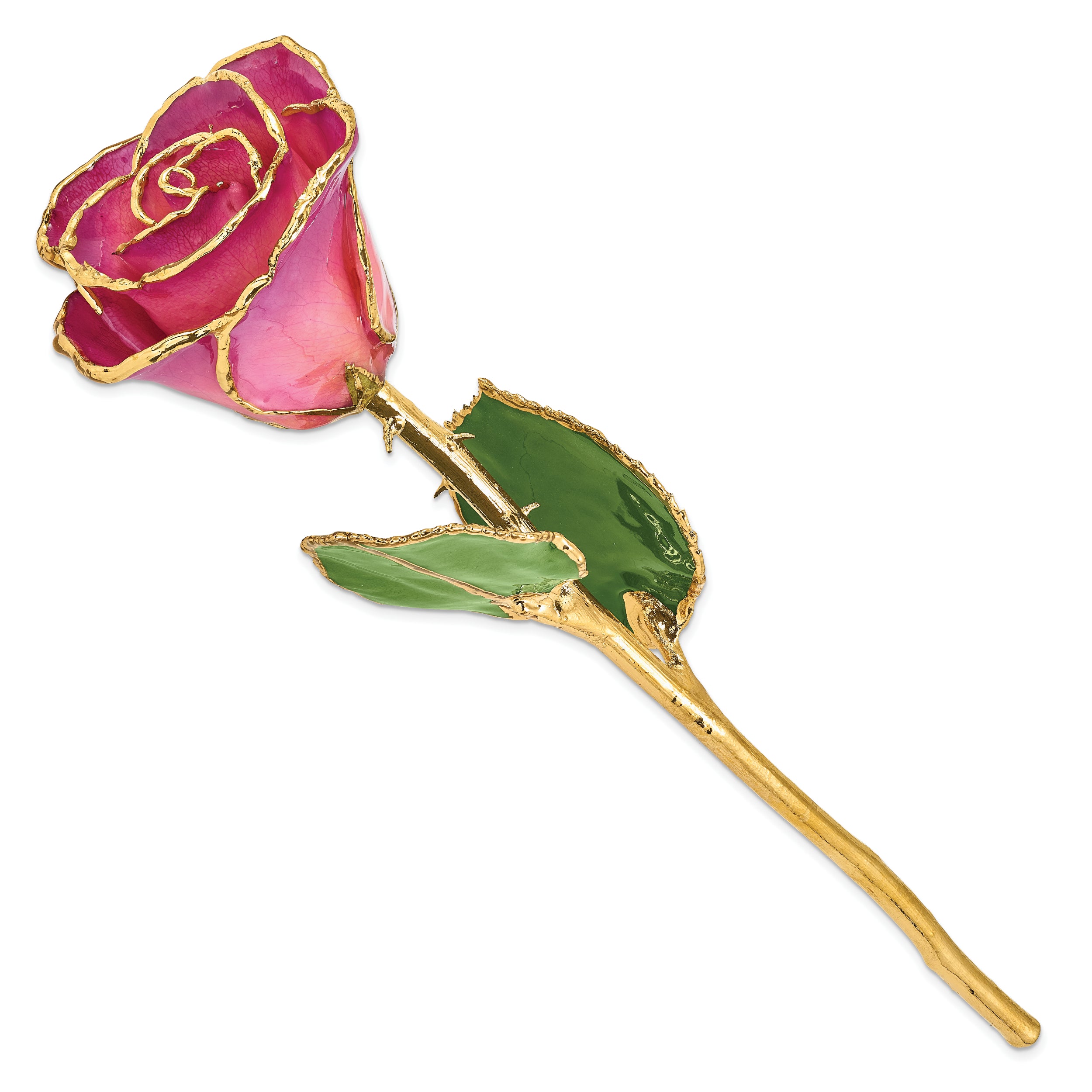 Lacquer Dipped Gold Trim Pink Picasso Rose