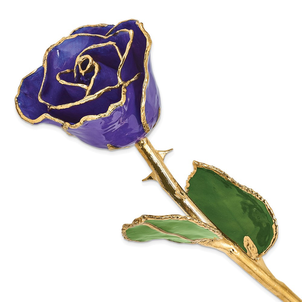 Lacquer Dipped Gold Trim Blue Violet Pearl Rose