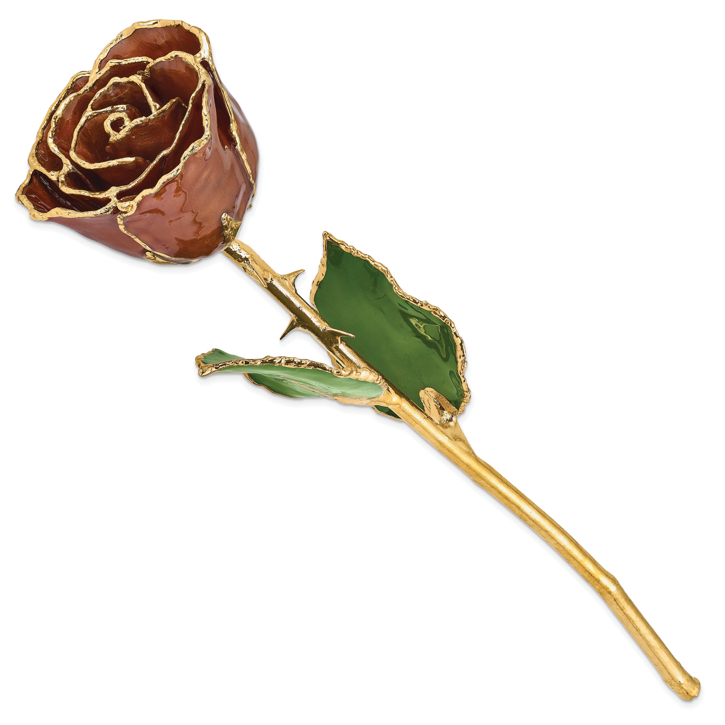Lacquer Dipped Gold Trim Cinnamon Pearl Rose
