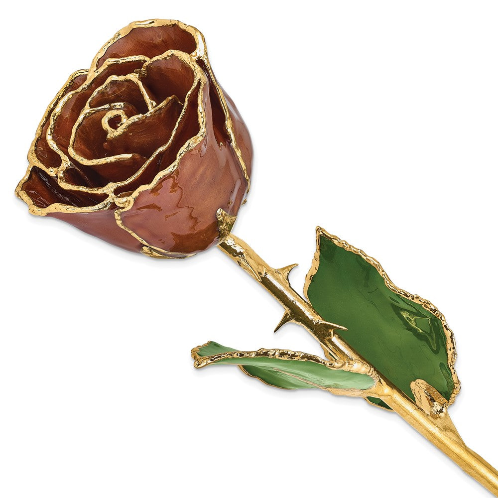 Lacquer Dipped Gold Trim Cinnamon Pearl Rose