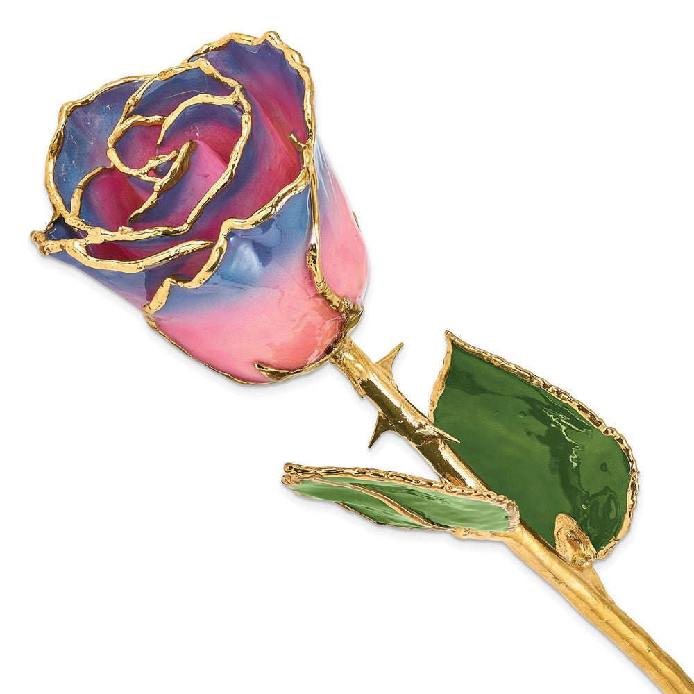 Lacquer Dipped Gold Trimmed Pink/Navy Rose