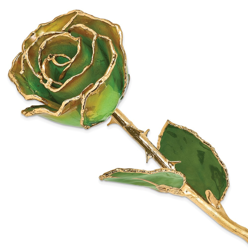 Lacquer Dipped Gold Trimmed Peridot/Orange Rose