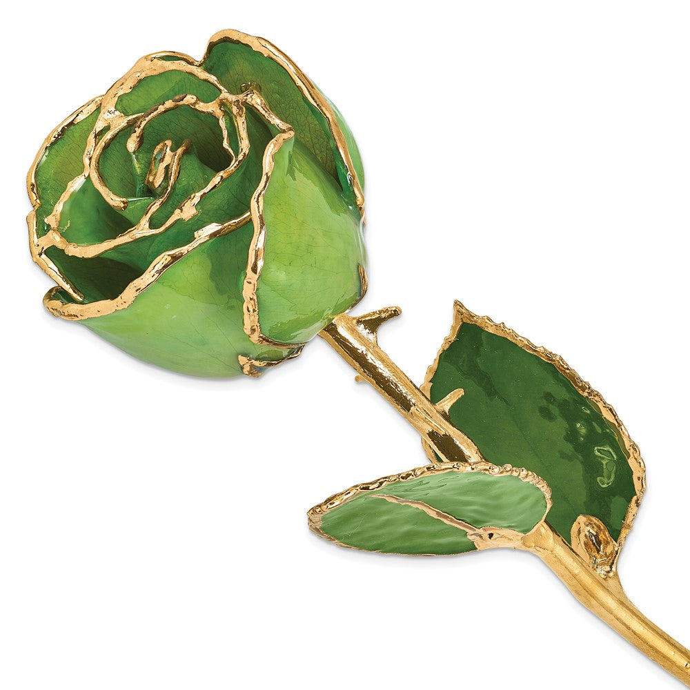 Lacquer Dipped Gold Trimmed Peridot/Topaz Rose