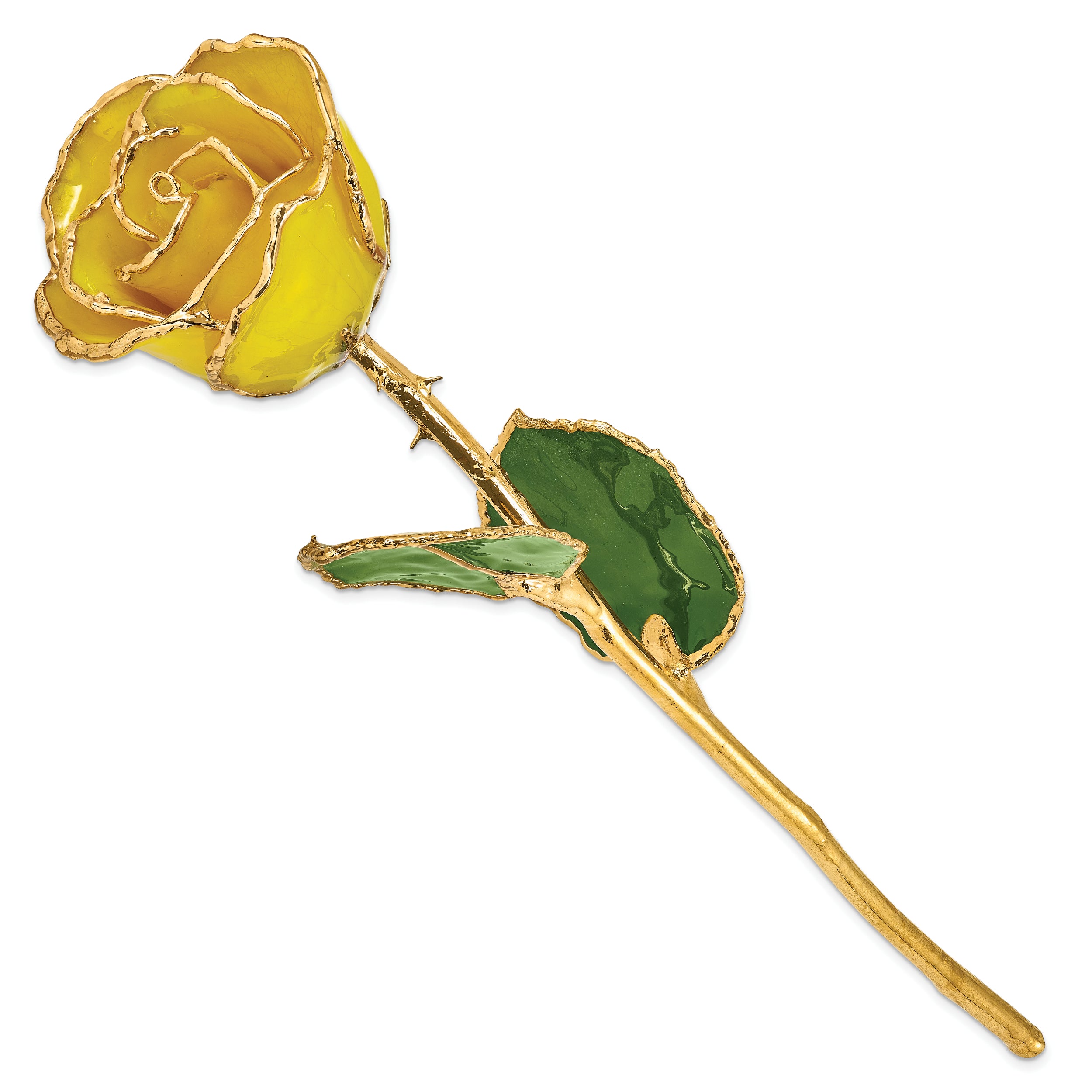 Lacquer Dipped Gold Trim Yellow Rose