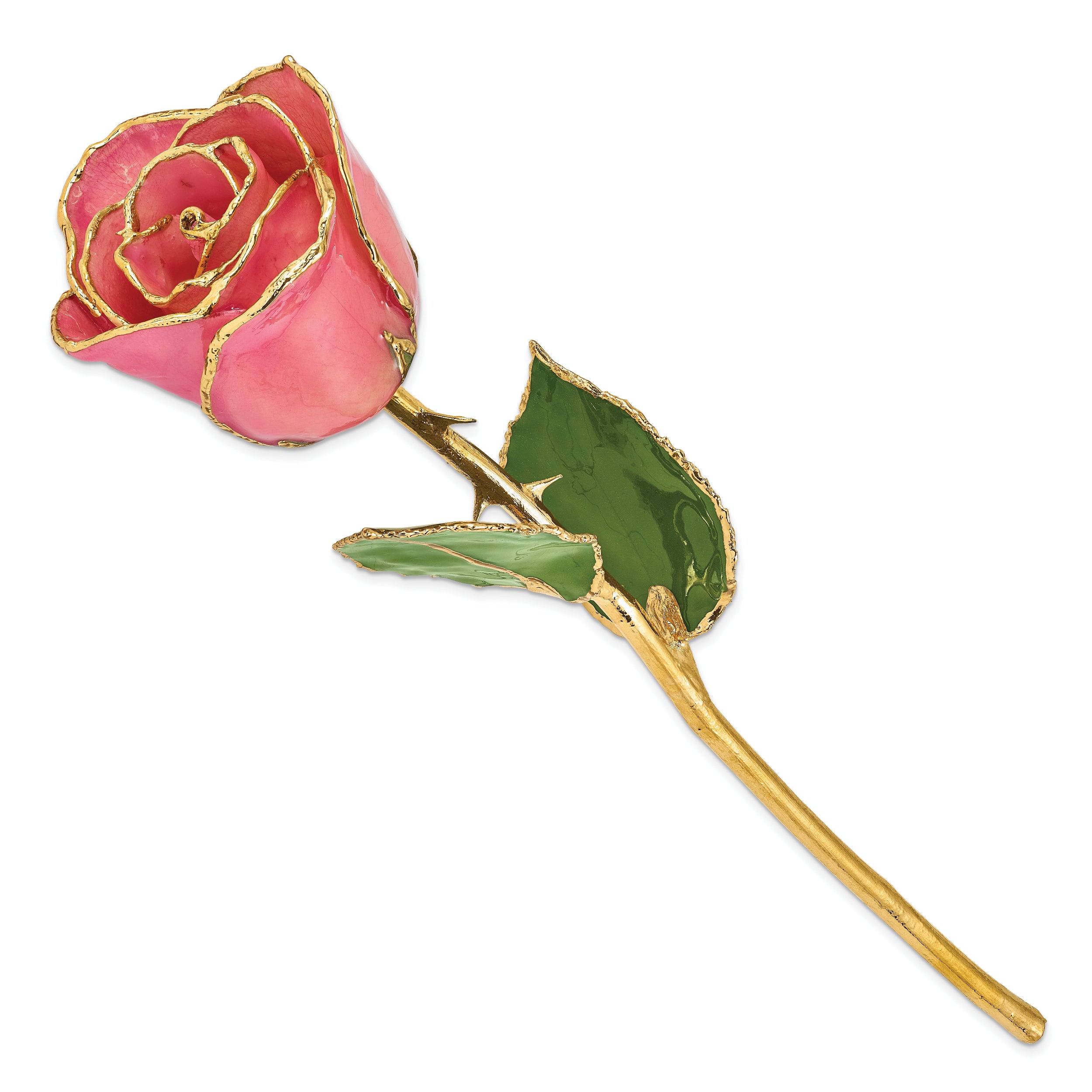 Lacquer Dipped Gold Trim Pink Rose