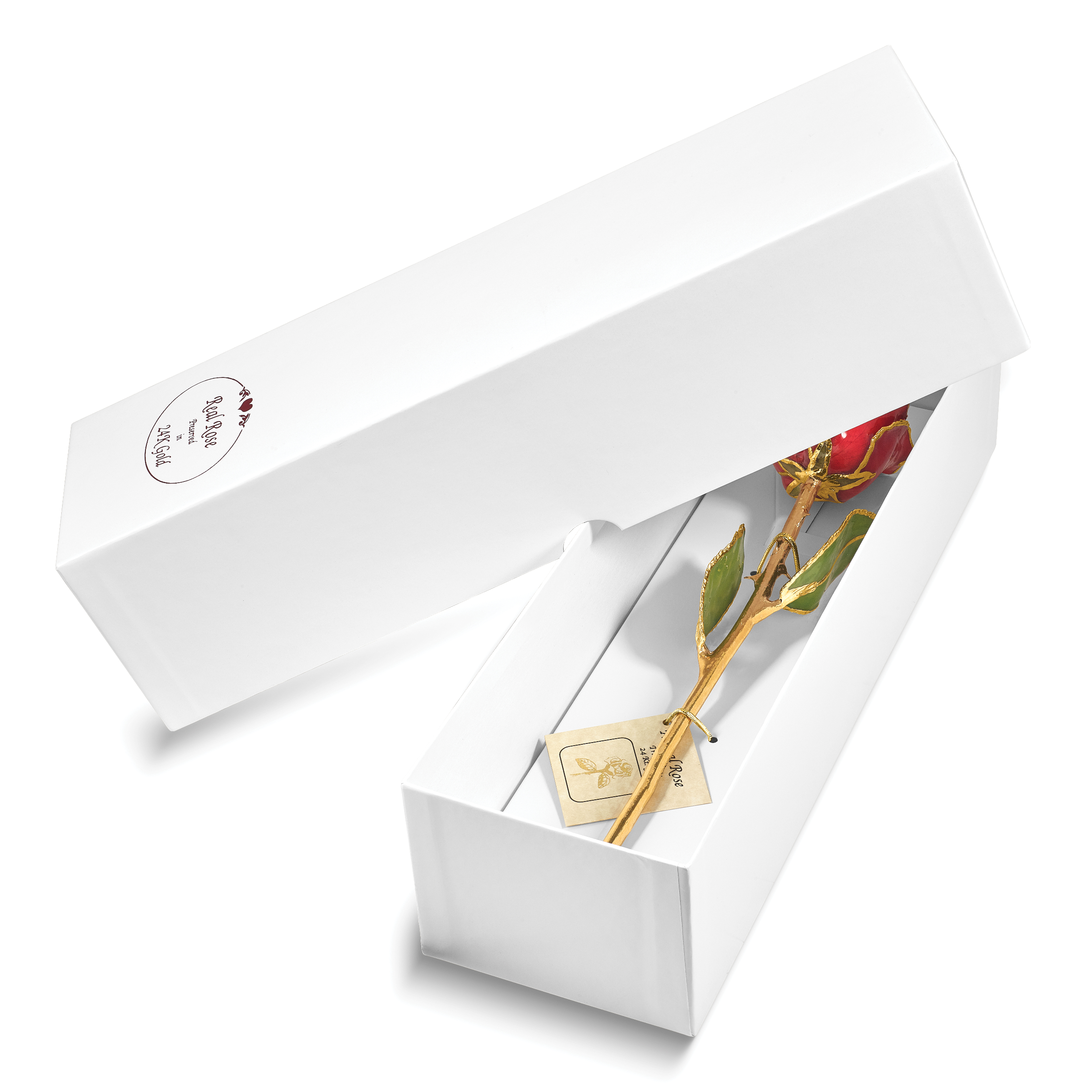 Lacquer Dipped Gold Trim Red Rose