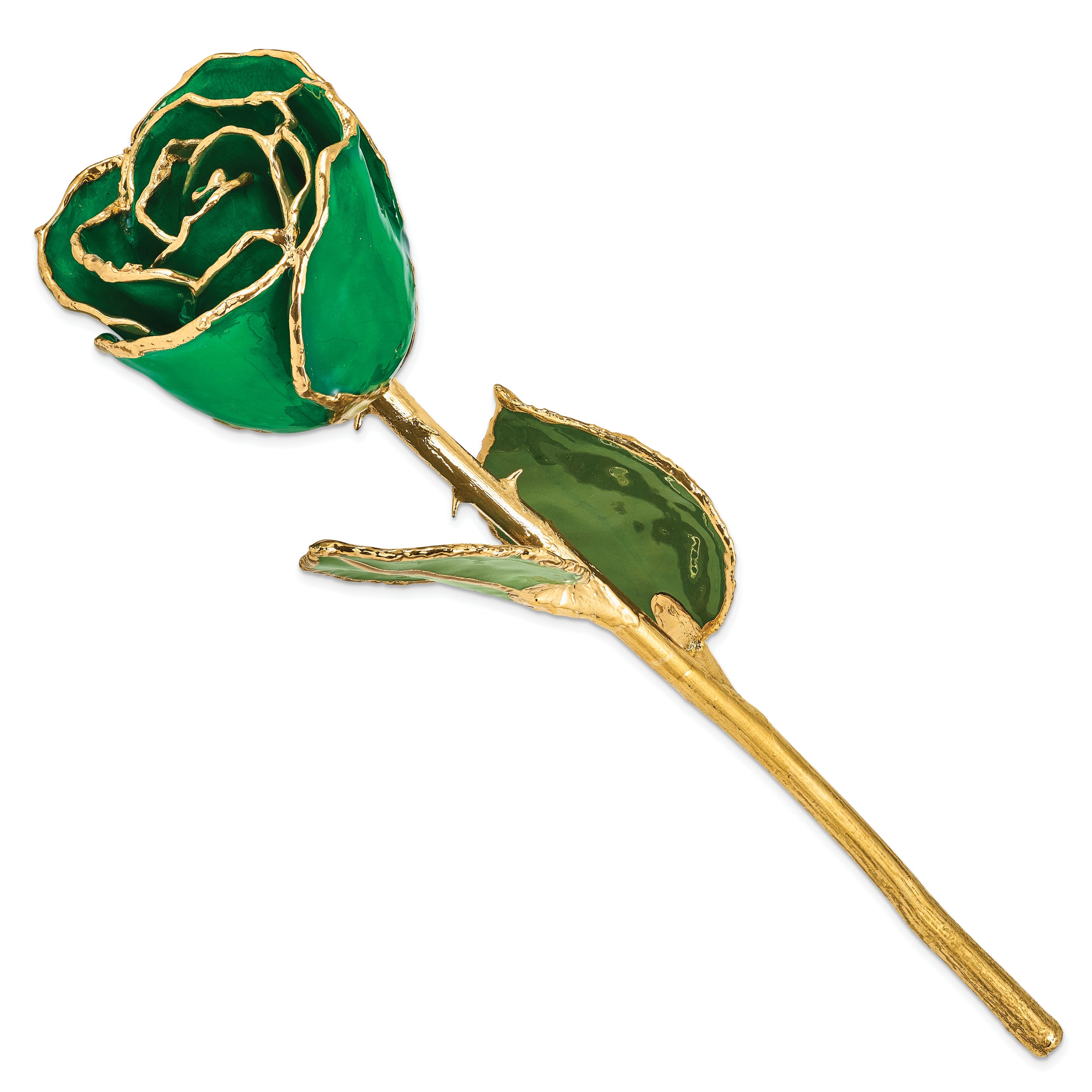 Lacquer Dipped Gold Trim Green Rose