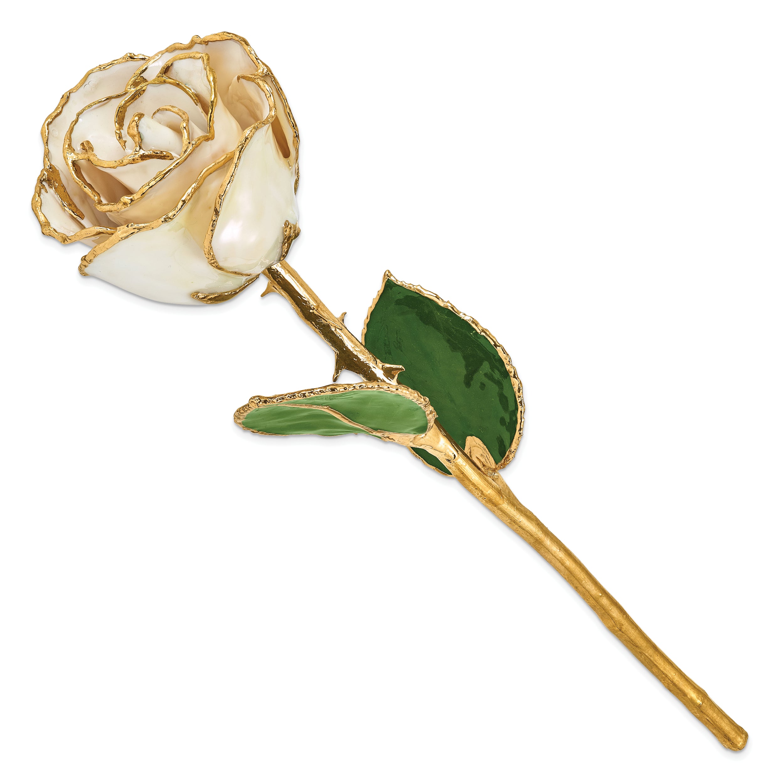 Lacquer Dipped Gold Trim White Satin Rose