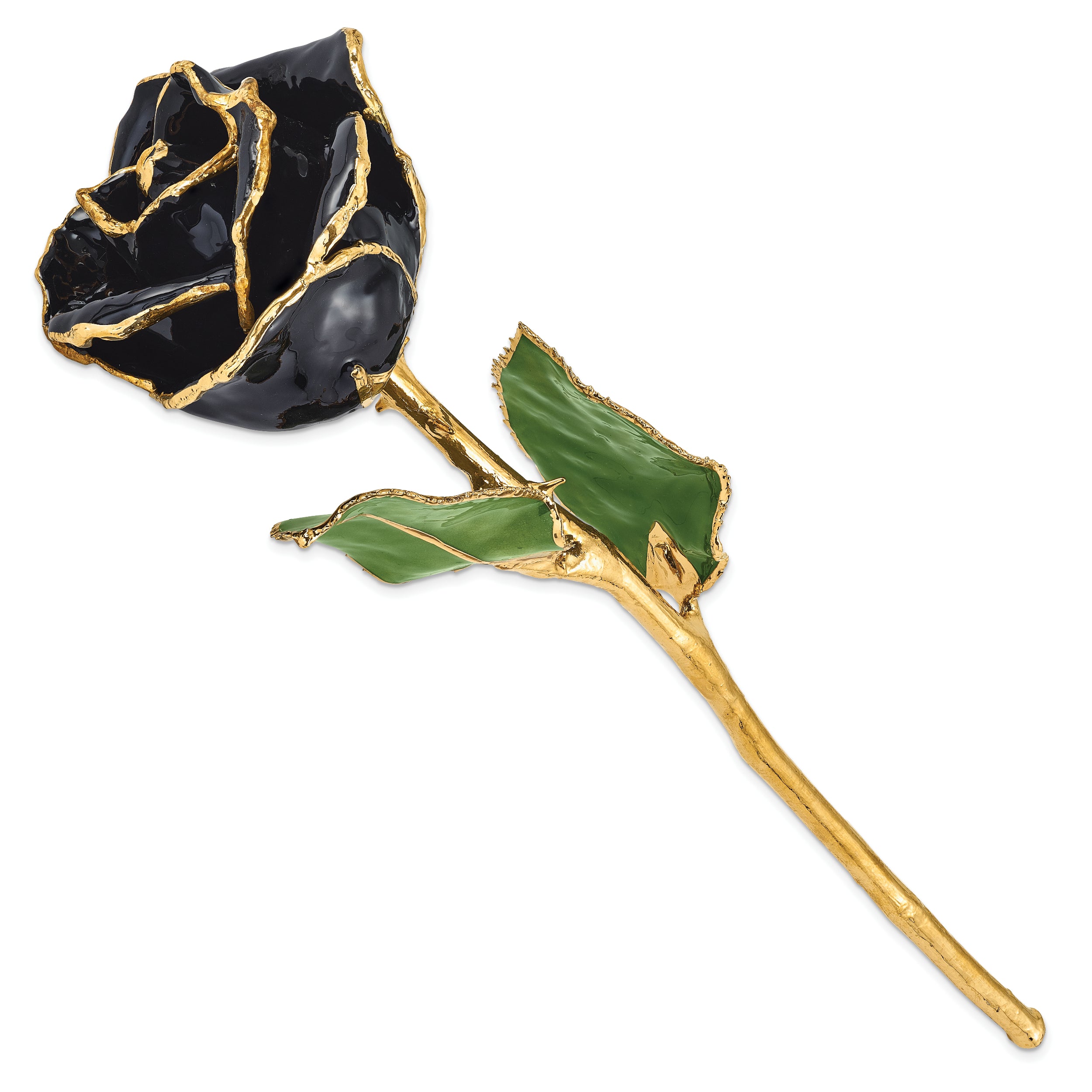 Lacquer Dipped Gold Trim Black Rose