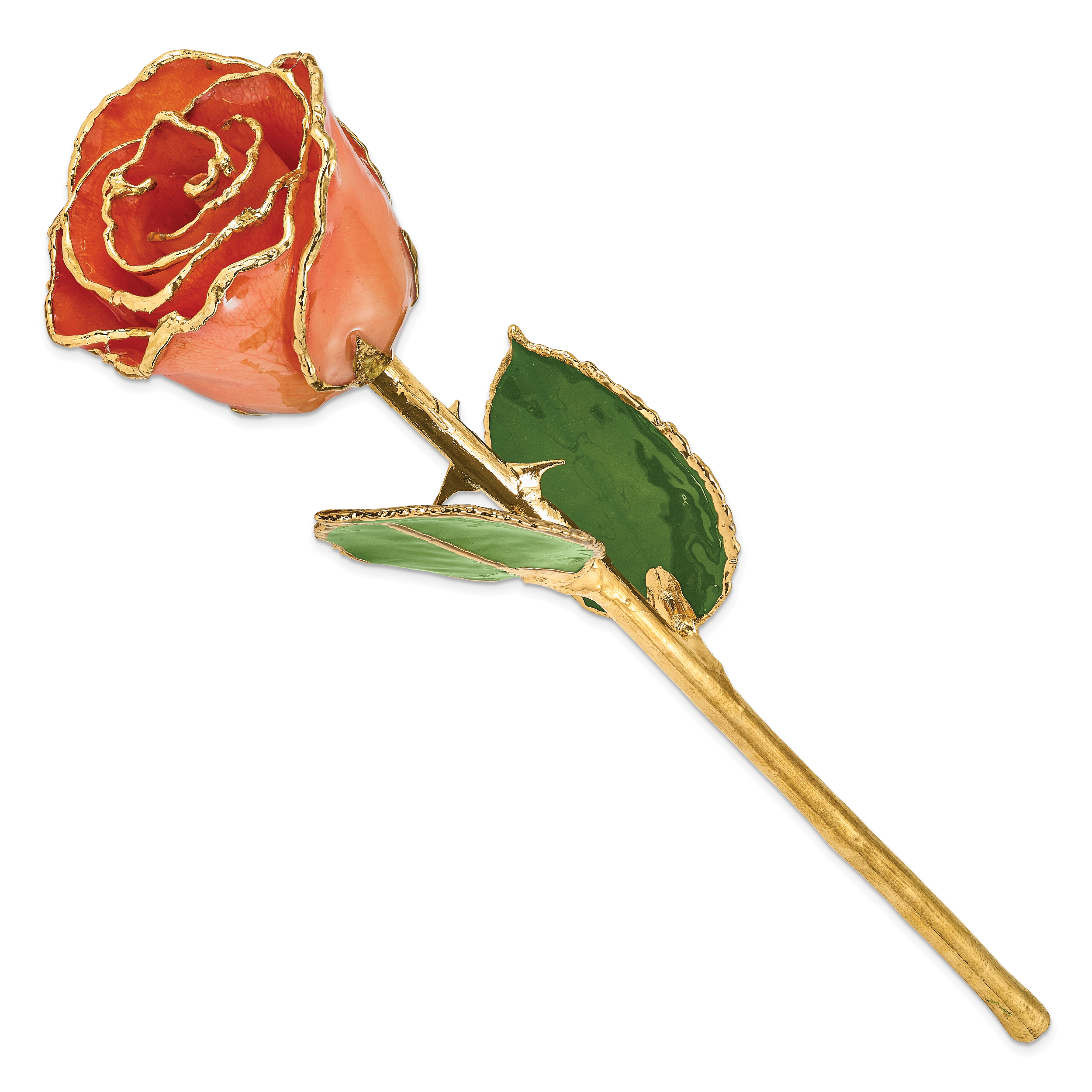 Lacquer Dipped Gold Trim Orange Rose