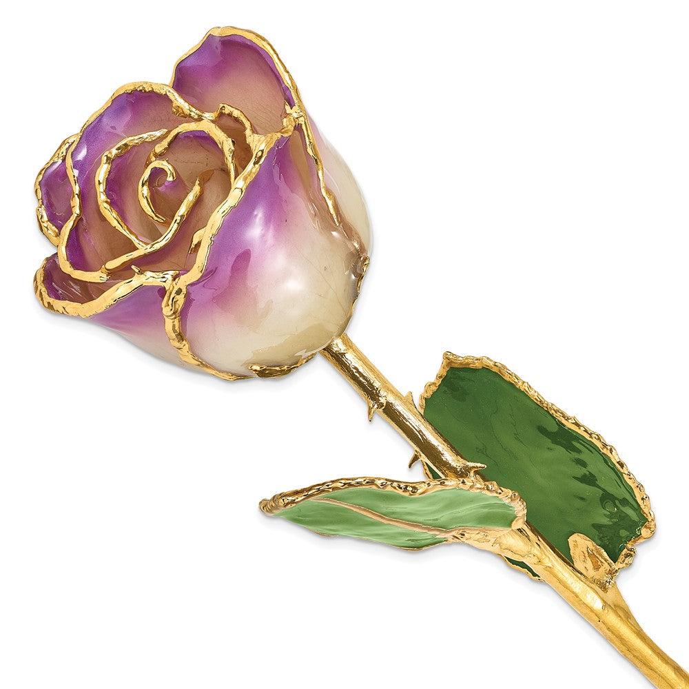 Lacquer Dipped Gold Trim Amethyst Rose