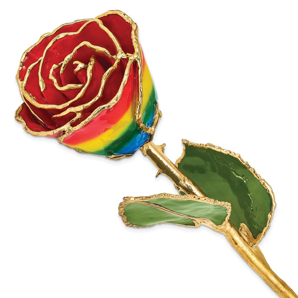Lacquer Dipped Gold Trim Rainbow Rose