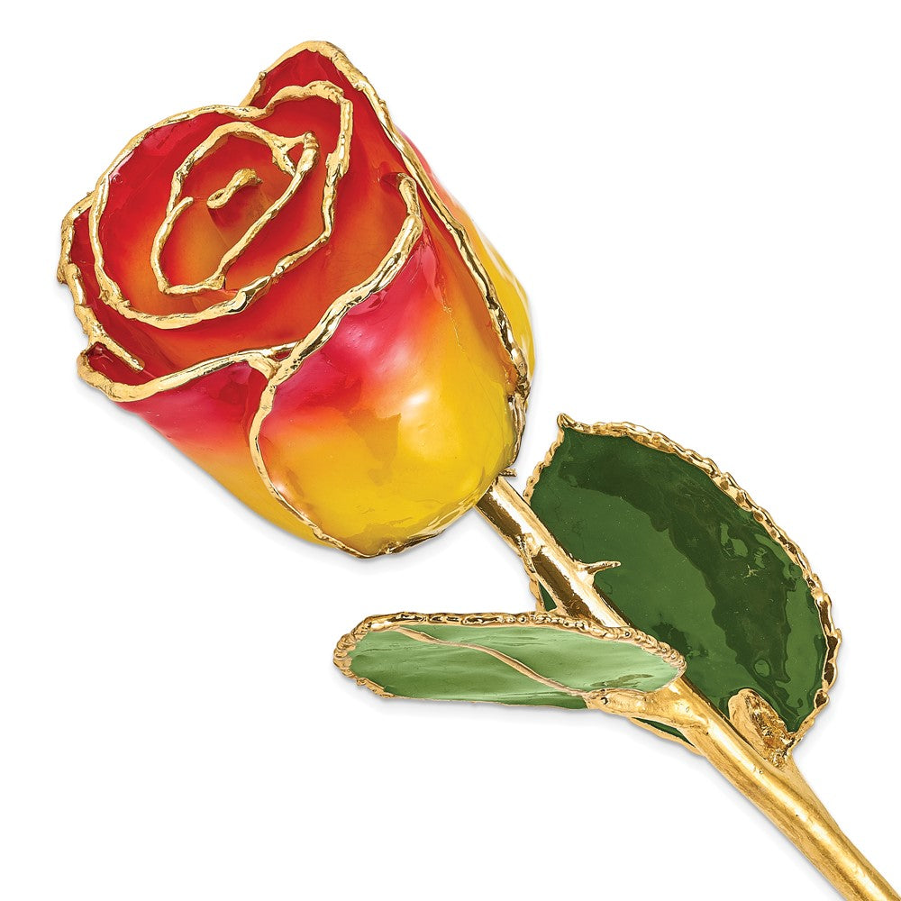 Lacquer Dipped Gold Trim Yellow/Red Rose
