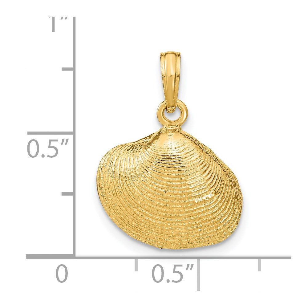 14k Yellow Gold 16 mm Medium Clam Shell Pendant (2.23 grams)