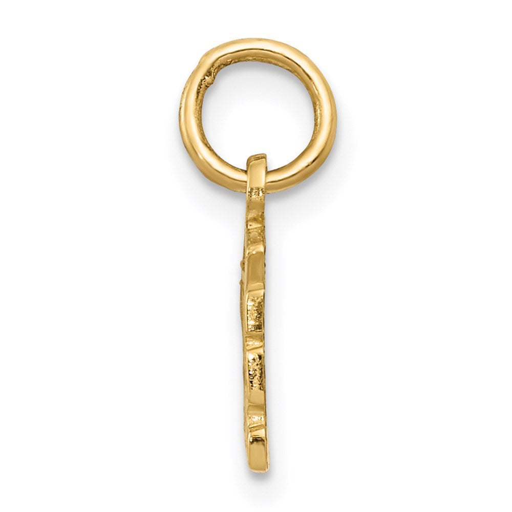 14k Yellow Gold 14 mm Swiss Cheese Charm (0.82 grams)