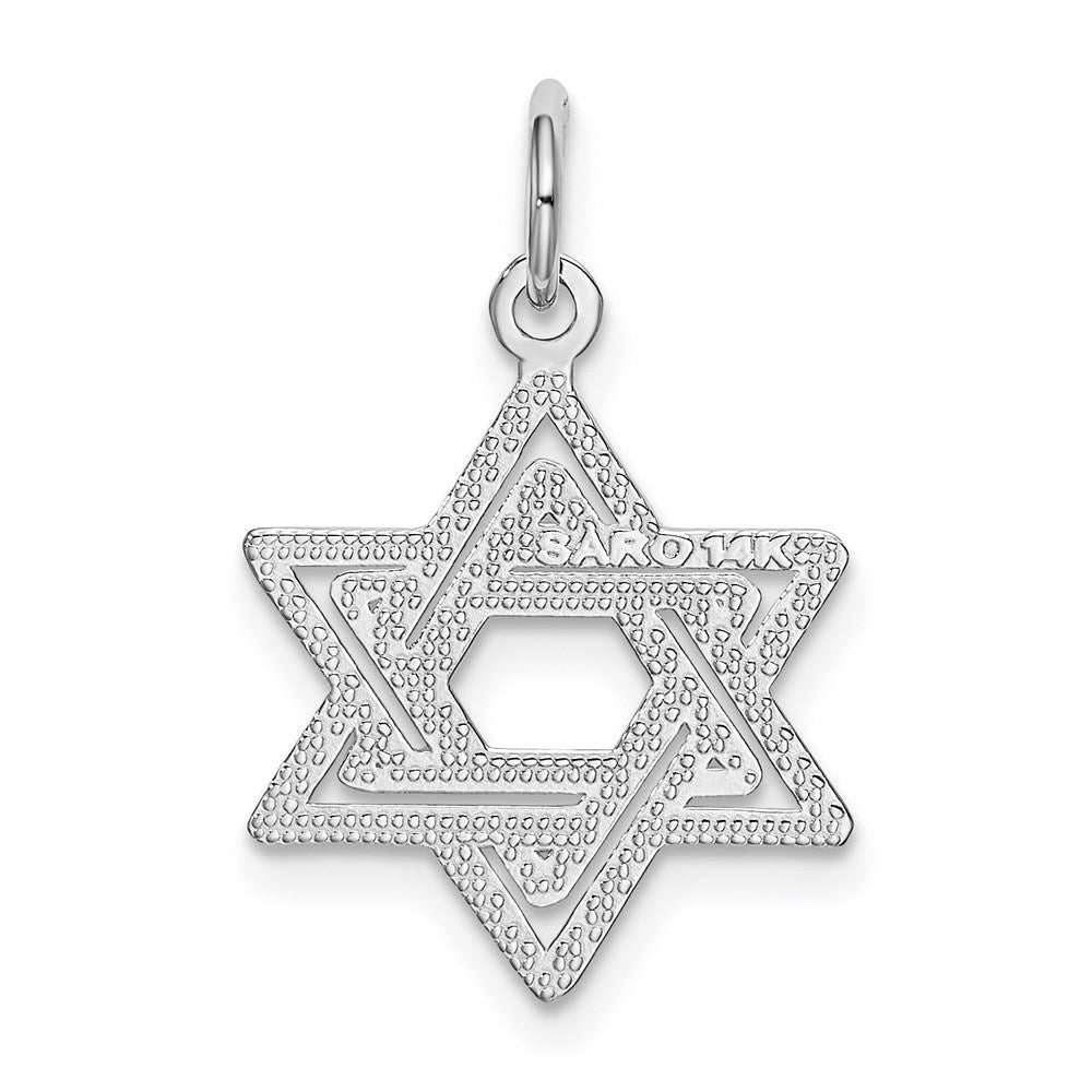 14k White Gold 15 mm Star of David Charm (0.84 grams)