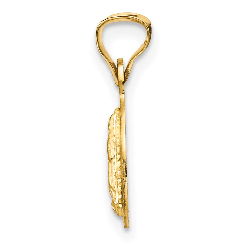 14k Yellow & Rhodium 11 mm Polished D/C Lady Of Guadalupe Circle Pendant (0.68 grams)