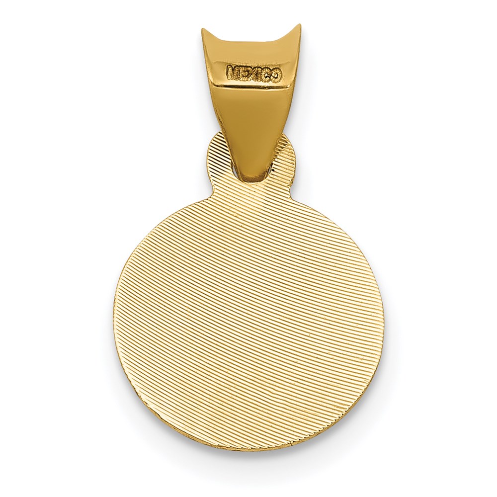 14k Yellow & Rhodium 11 mm Polished D/C Lady Of Guadalupe Circle Pendant (0.68 grams)