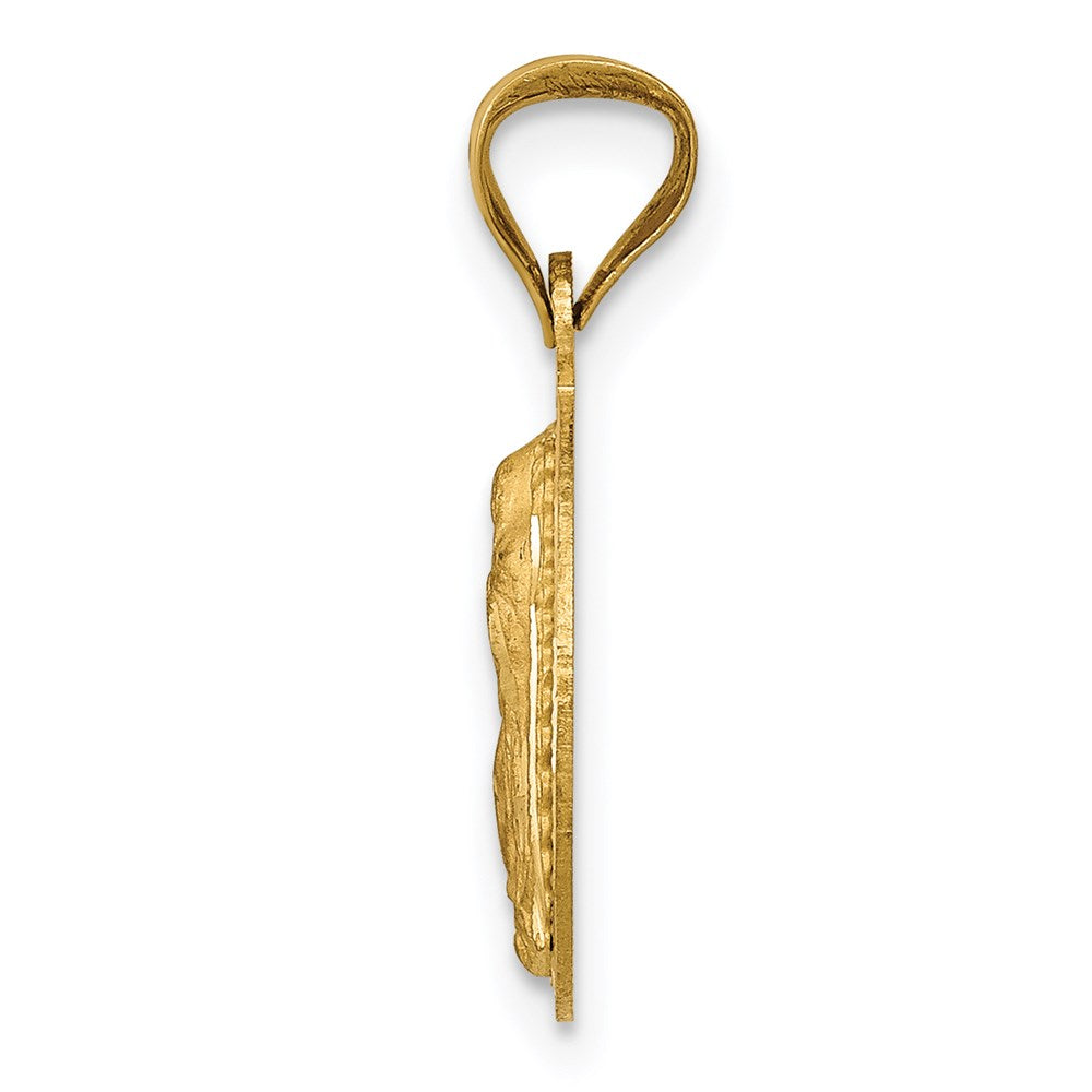 14k Yellow & Rhodium 13.5 mm Polished D/C Lady Of Guadalupe Circle Pendant (1.31 grams)