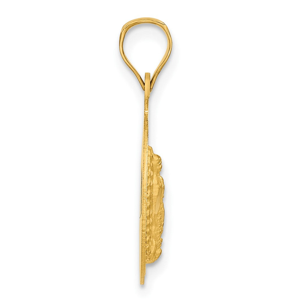 14k Yellow Gold 16.75 mm Polished D/C Lady Of Guadalupe Circle Pendant (1.28 grams)