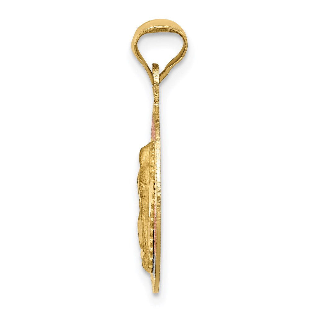 14k Yellow & Rhodium 16 mm Polished D/C Lady Of Guadalupe Circle Pendant (1.34 grams)