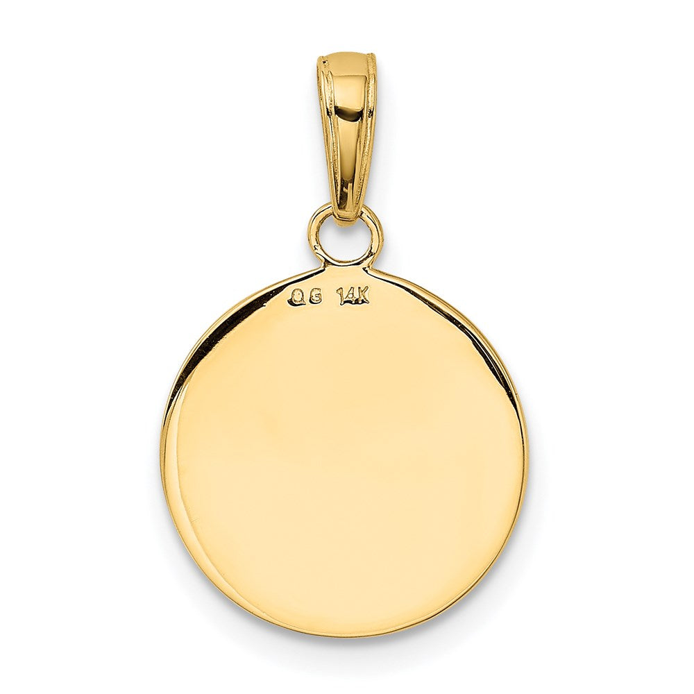 14k Yellow Gold 14.4 mm Gold Satin And Polished Saint Francis Medal Pendant (1.67 grams)