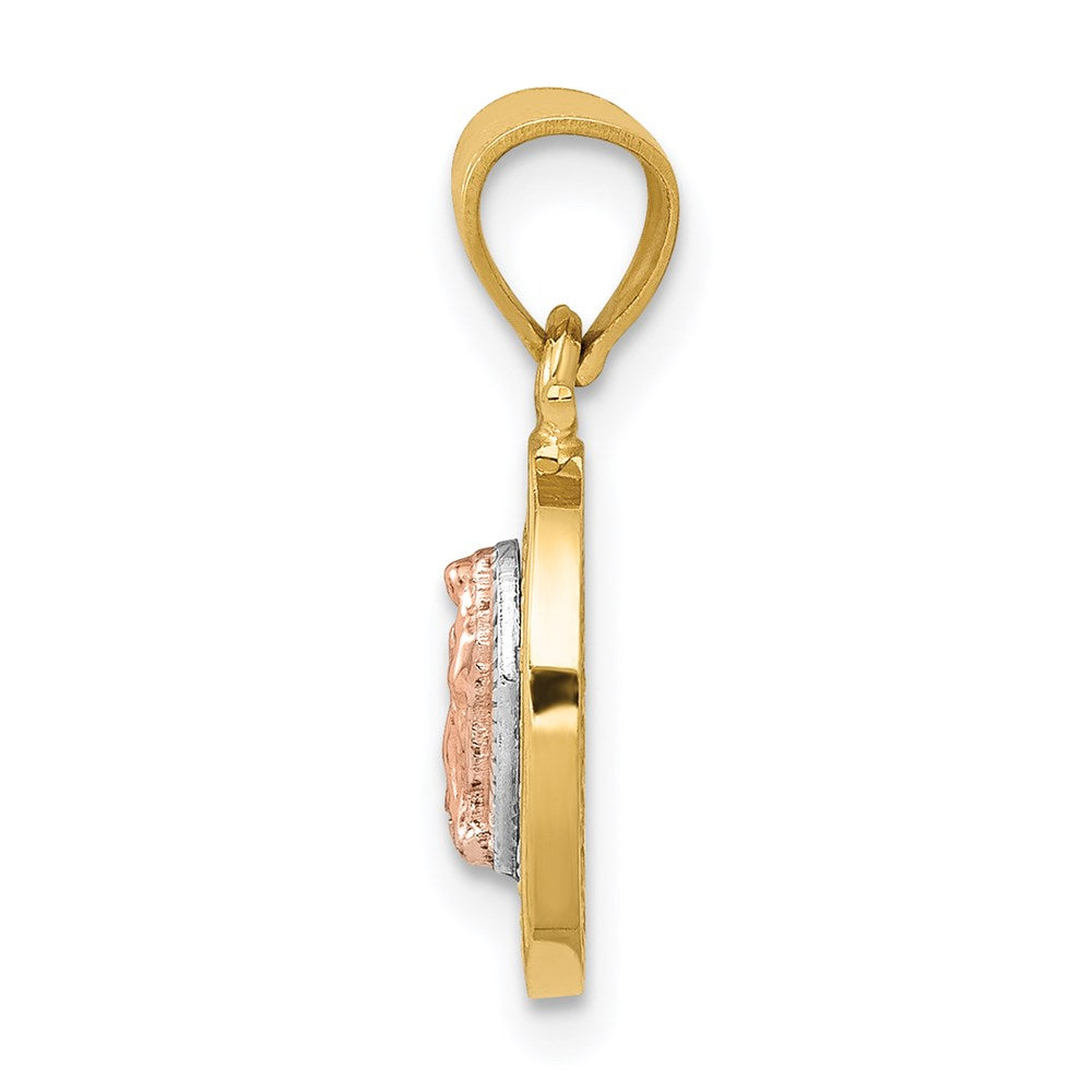 14k Two-tone 9.8 mm D/C CZ Lady Guadalupe Pendant (1.11 grams)