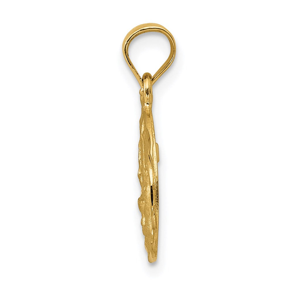 14k Yellow Gold 9.9 mm Satin / Diamond-Cut Baptism Pendant (0.91 grams)