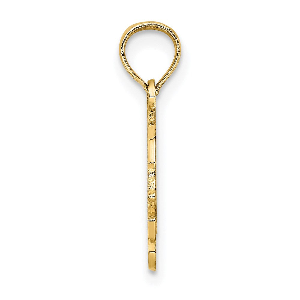 14k Yellow Gold 19.5 mm I HEART TURTLES Charm (0.95 grams)