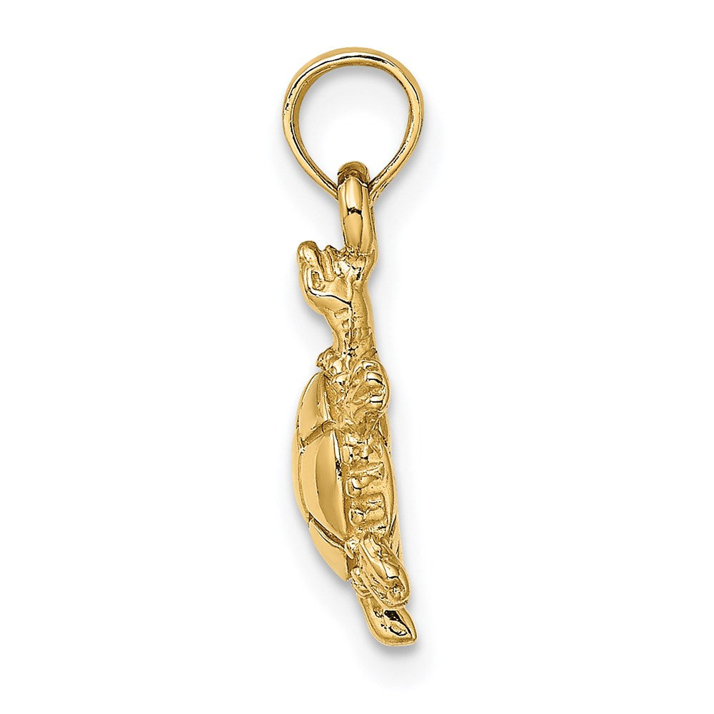 14k Yellow Gold 9.53 mm 3-D Polished Land Turtle Charm (1.63 grams)
