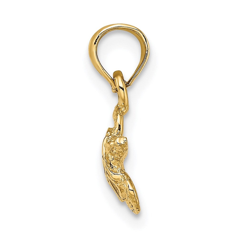 14k Yellow Gold 11.5 mm Textured and Enameled Sea Turtle Charm (0.79 grams)