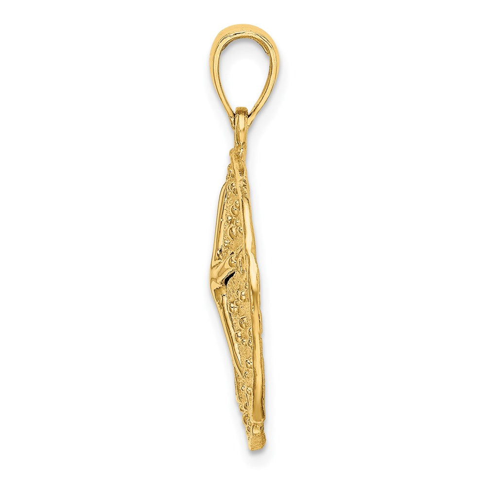 14k Yellow Gold 20.05 mm Starfish on Sand Dollar Charm (3.81 grams)