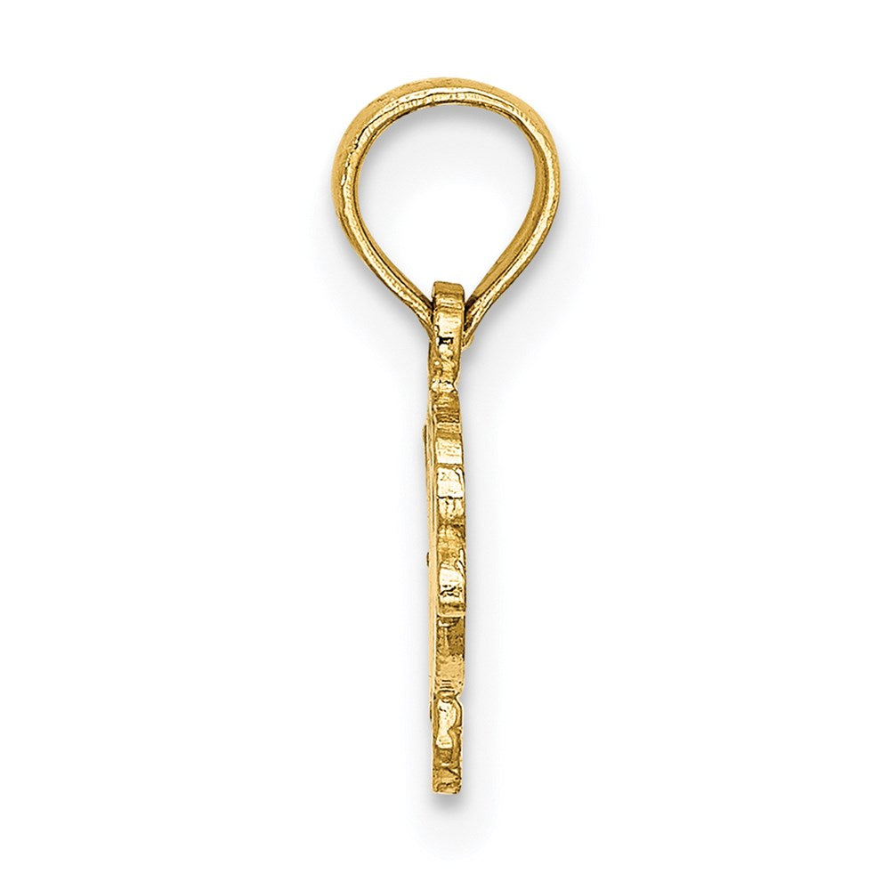 14k Yellow Gold 11.7 mm Flat Engraved Playful Fish Charm (0.62 grams)