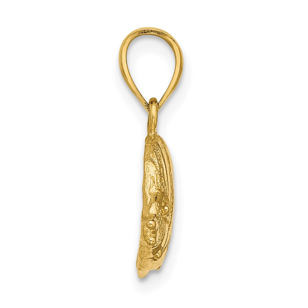 14k Yellow Gold 18.5 mm 2-D Polished Engraved Fish Charm (1.97 grams)