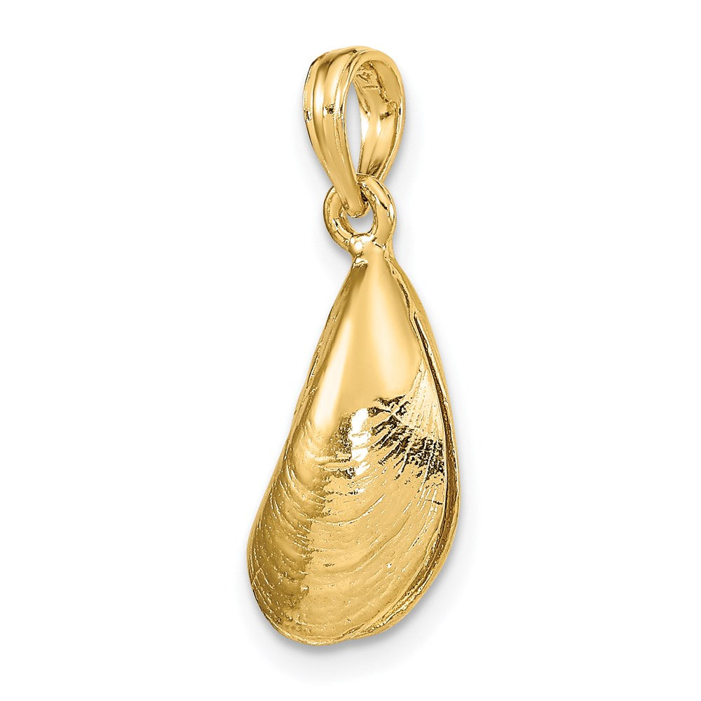 14k Yellow Gold 8.9 mm 3-D Polished Mussel Shell Charm (2.02 grams)
