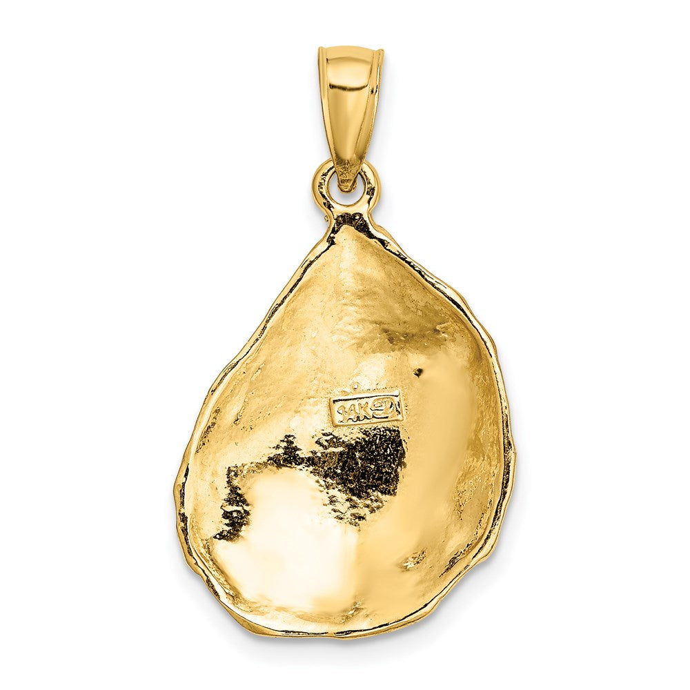 14k Yellow Gold 16.3 mm Textured and Polished Oyster Shell Charm (3.54 grams)