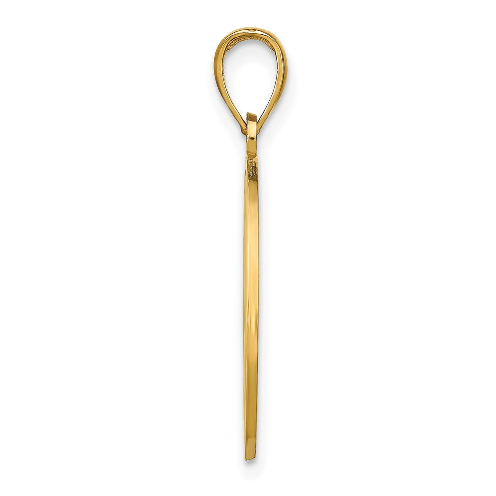 14k Yellow Gold 20 mm NAPLES Dolphins Pendant (2.11 grams)