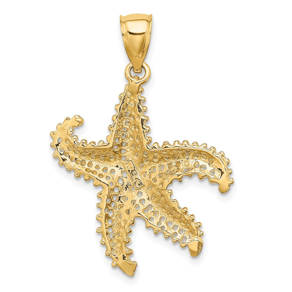 14k Yellow Gold 24.1 mm Starfish Pierced Charm (3.18 grams)