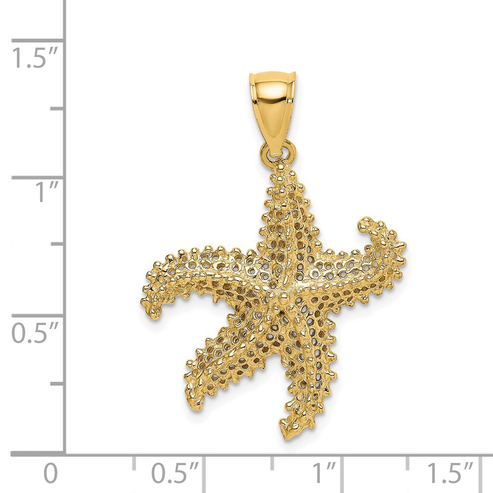 14k Yellow Gold 24.1 mm Starfish Pierced Charm (3.18 grams)