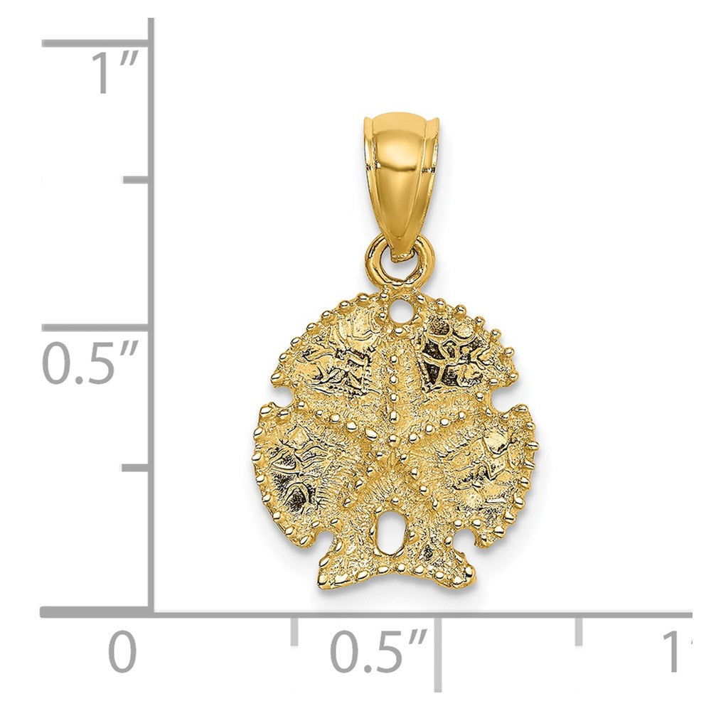 14k Yellow Gold 13.5 mm Starfish on Sand Dollar Charm (1.31 grams)