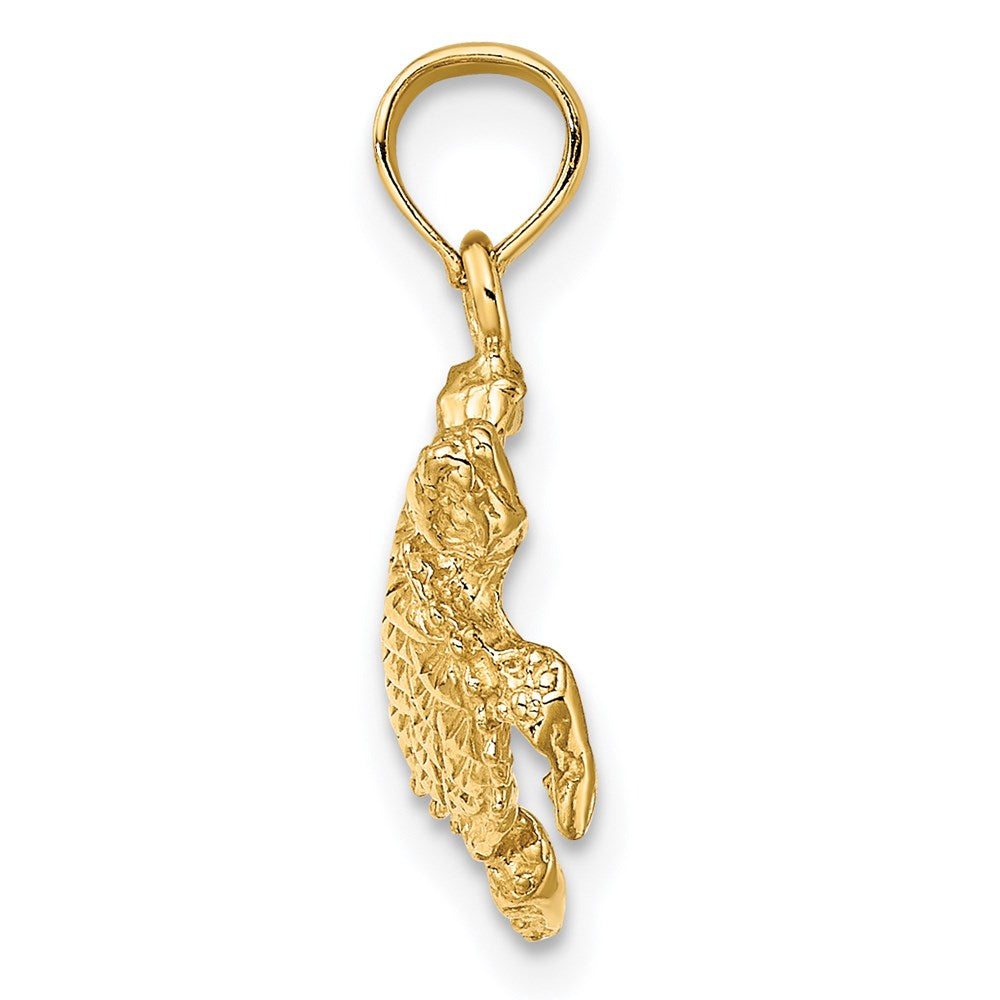 14k Yellow Gold 15.7 mm Sea Turtle with Tail Charm (1.35 grams)