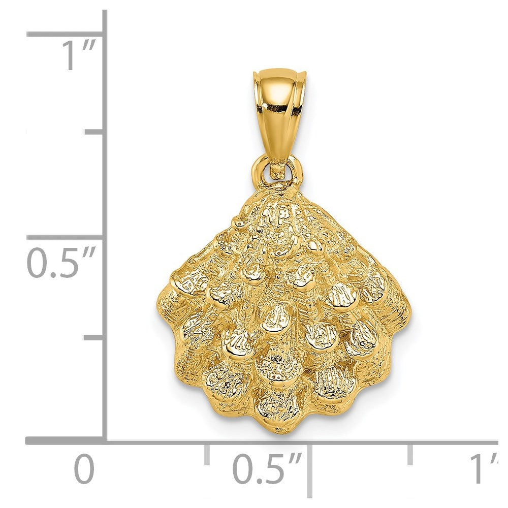 14k Yellow Gold 16.9 mm Textured Oyster Shell Charm (2.91 grams)