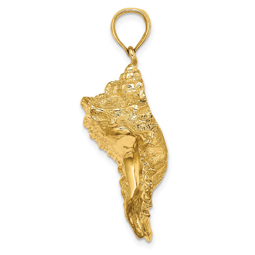 14k Yellow Gold 26.4 mm Texture 2-D Conch Shell Charm (10.94 grams)
