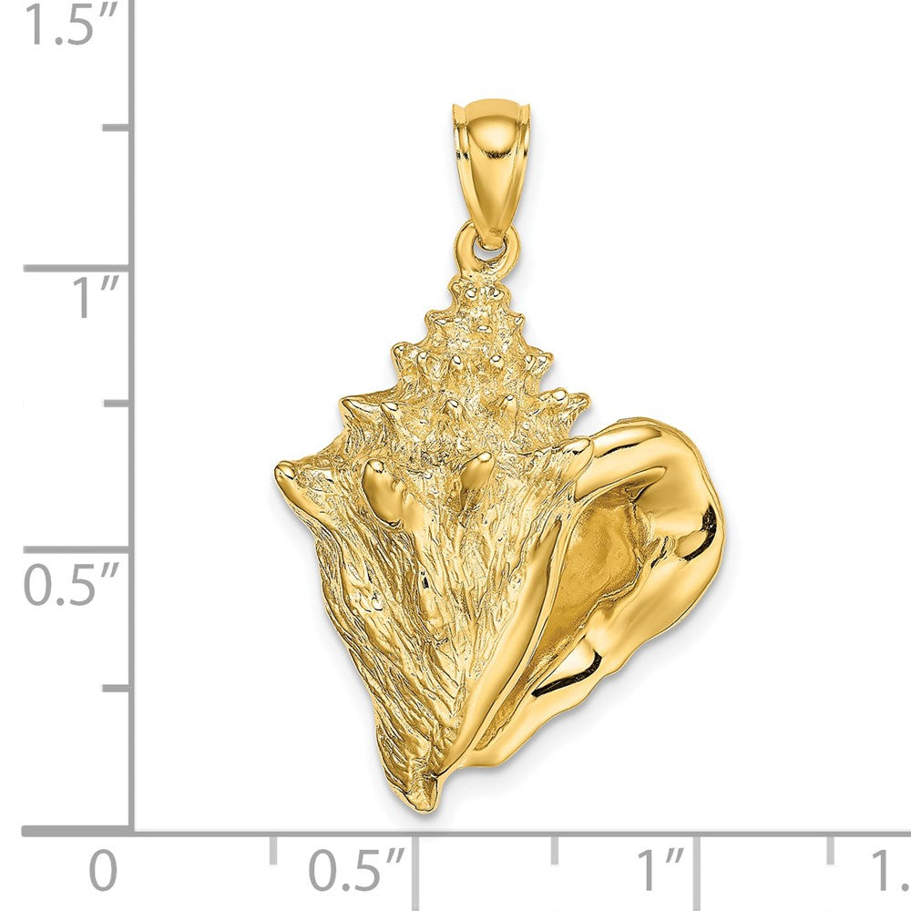 14k Yellow Gold 21.1 mm Conch Shell Charm (7.74 grams)