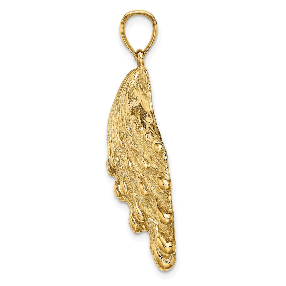 14k Yellow Gold 29.6 mm Lion's Paw Shell Charm (10.32 grams)
